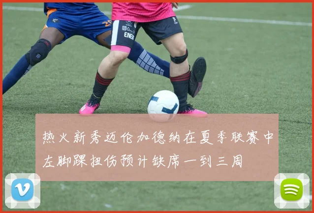 热火新秀迈伦加德纳在夏季联赛中左脚踝扭伤预计缺席一到三周