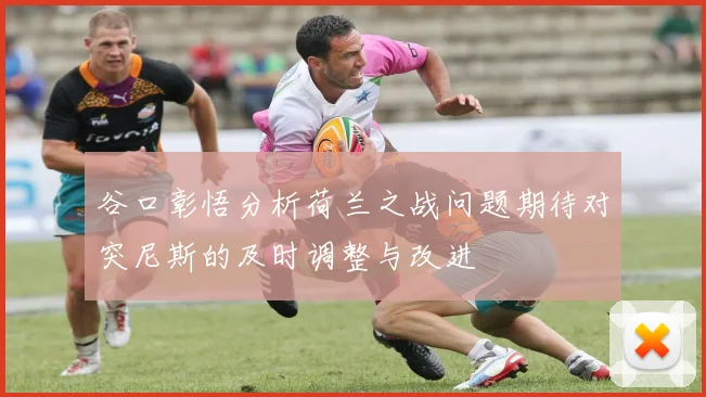 谷口彰悟分析荷兰之战问题期待对突尼斯的及时调整与改进