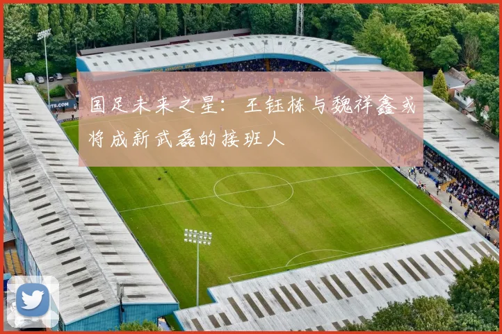 国足未来之星：王钰栋与魏祥鑫或将成新武磊的接班人